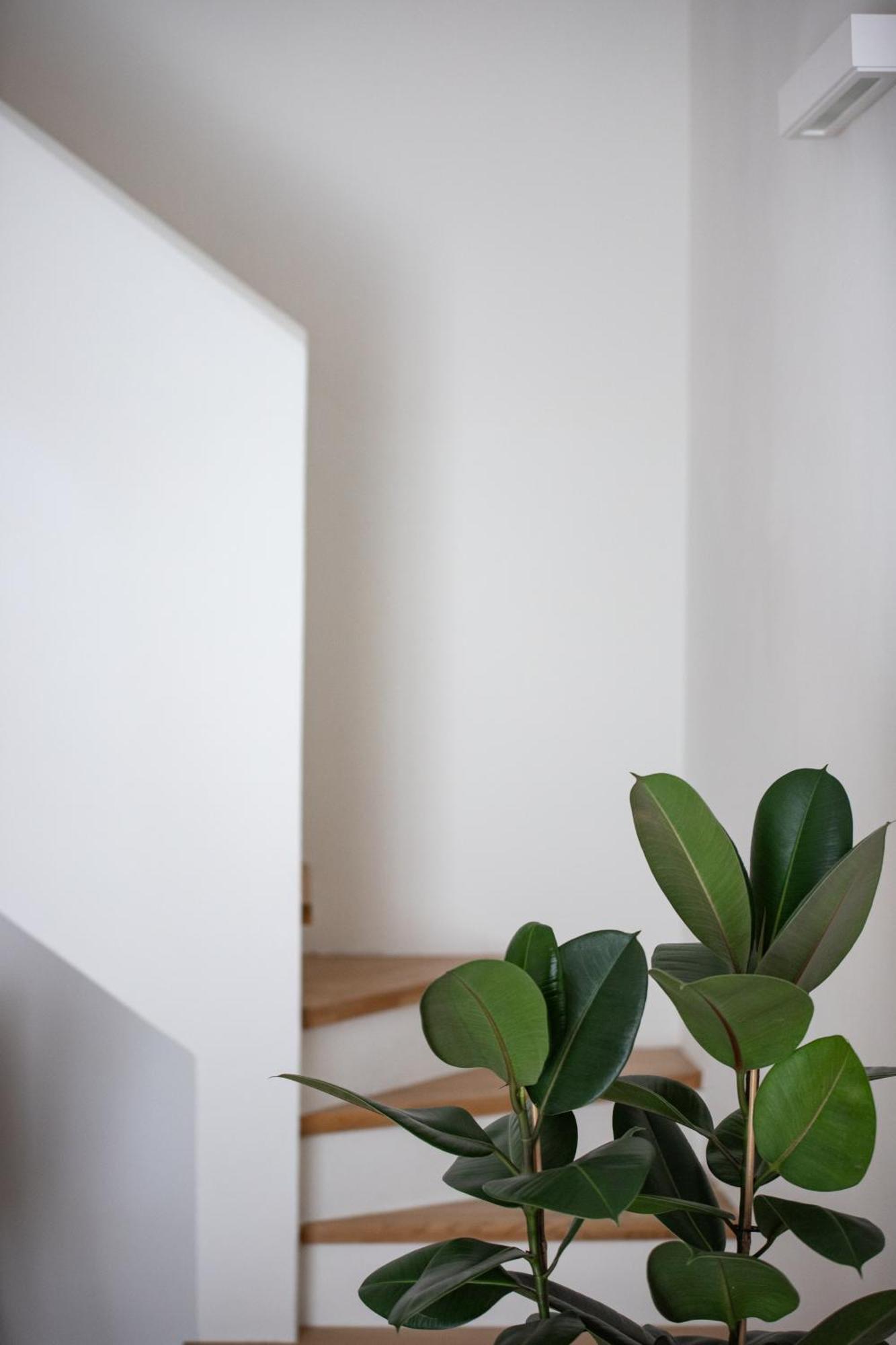 ボローニャ Santo Stefano Loftアパートホテル エクステリア 写真